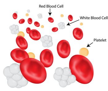 3d rendering of blood showing platelets