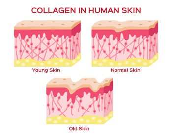 collagen in women