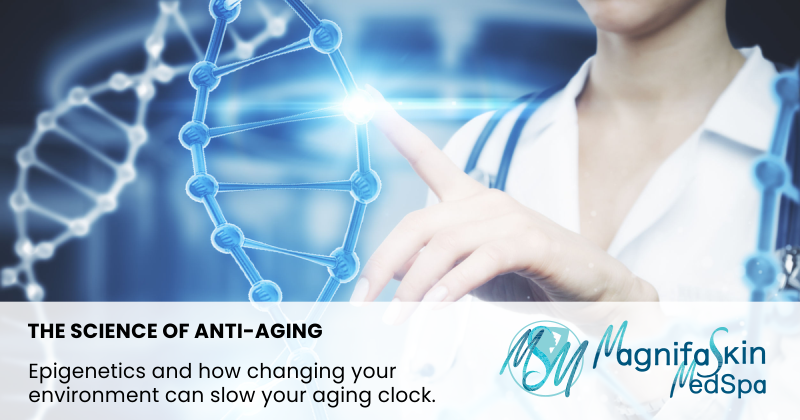 featured image epigenetics and anti-aging